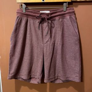 VGUC FREE PLANET BURGUNDY SHORTS MEN'S SIZE SMALL
